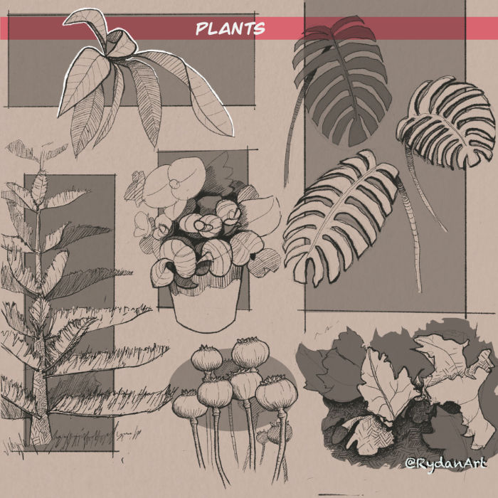 Plants